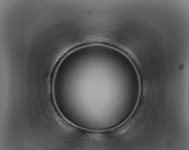 X0000089941031200707061056