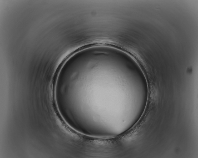 X0000089941032200707061056