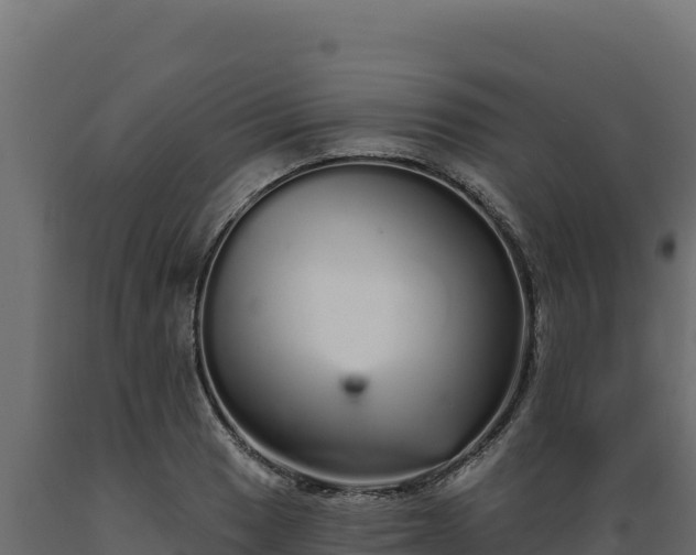 X0000089941033200707061056