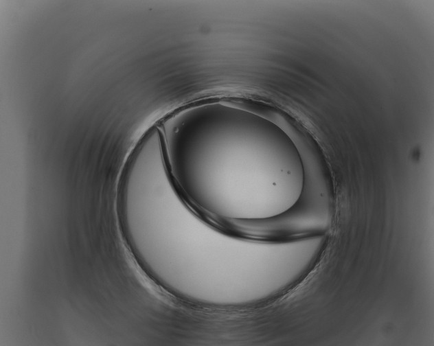 X0000089941034200707061056