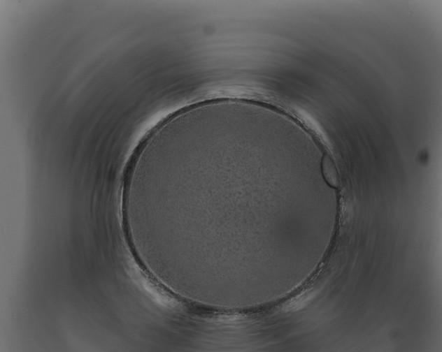 X0000089941035200707061056