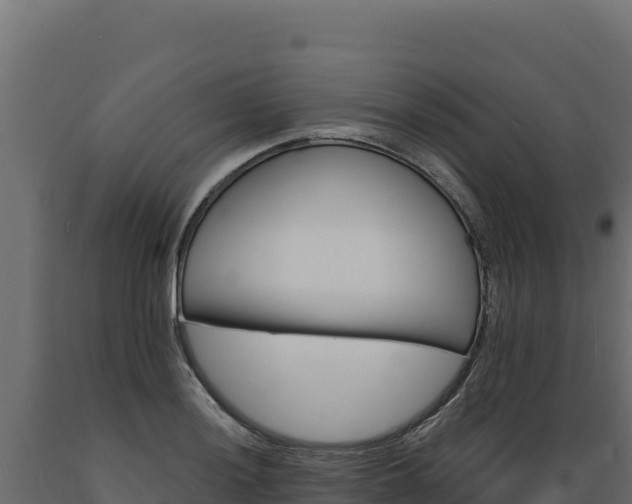 X0000089941036200707061056