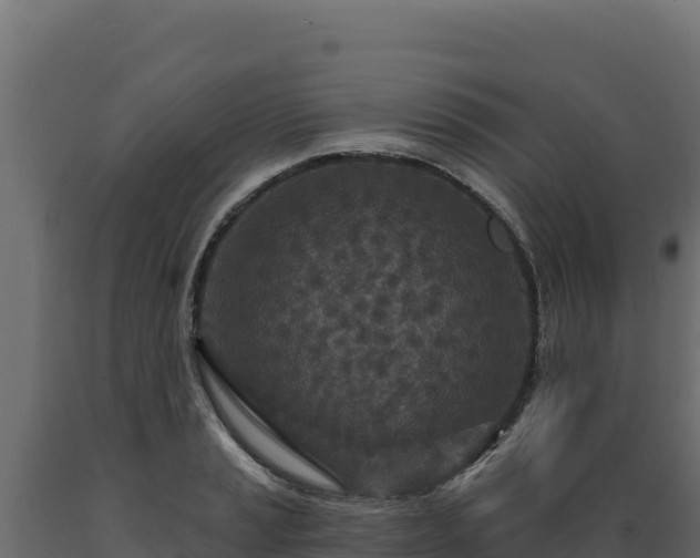 X0000089941037200707061056