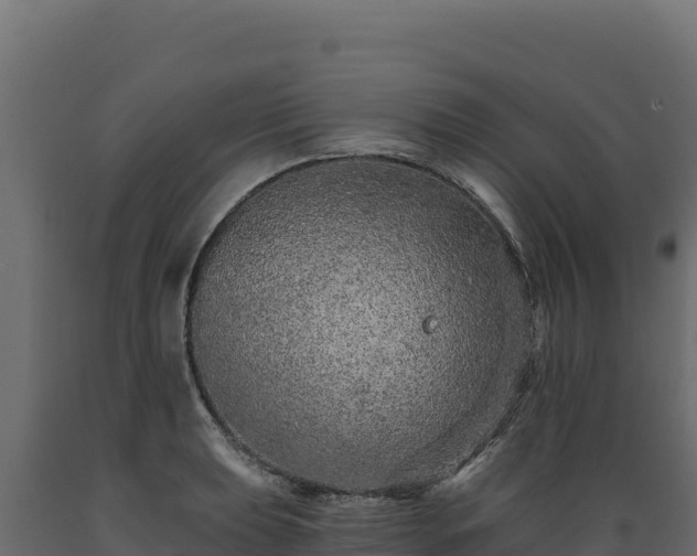 X0000089941039200707061056