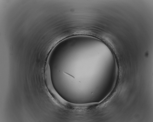 X0000089941041200707061056