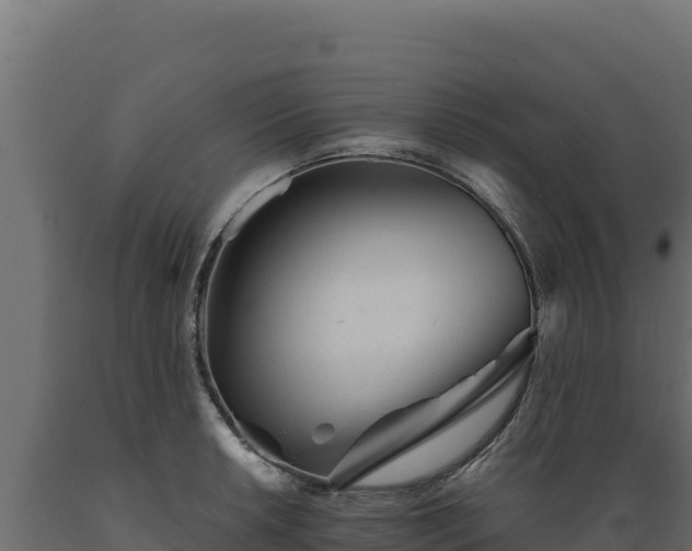 X0000089941042200707061056