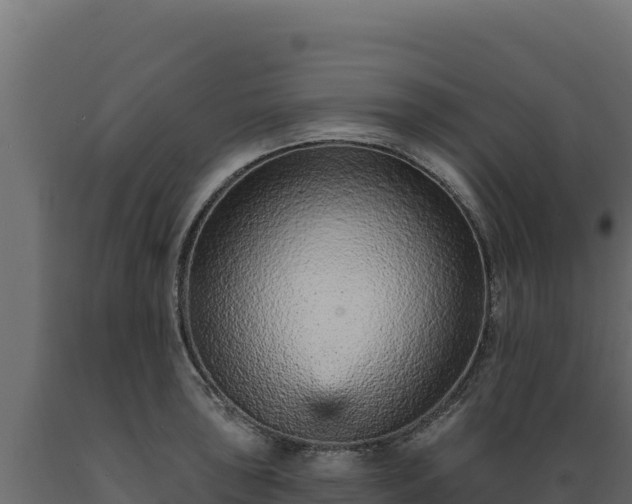 X0000089941043200707061056