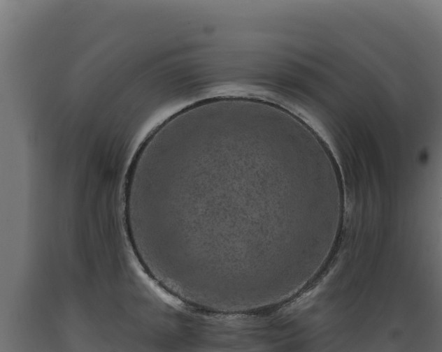 X0000089941045200707061056