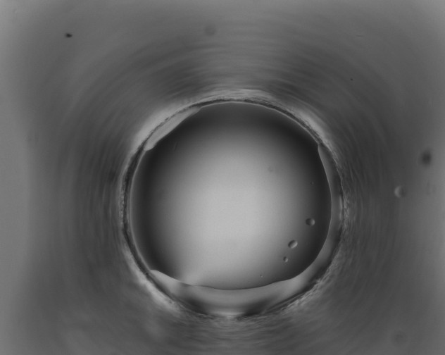 X0000089941046200707061056