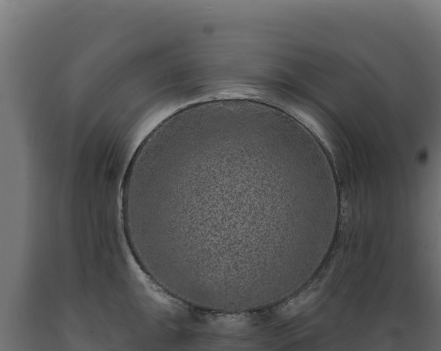 X0000089941047200707061056