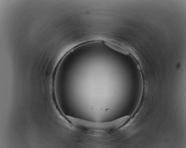 X0000089941048200707061056