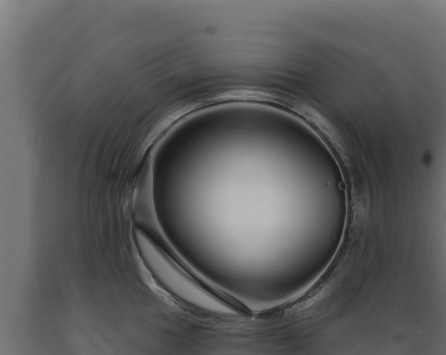 X0000089941049200707061056