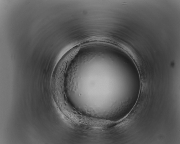 X0000089941050200707061056