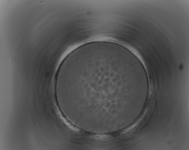 X0000089941053200707061056