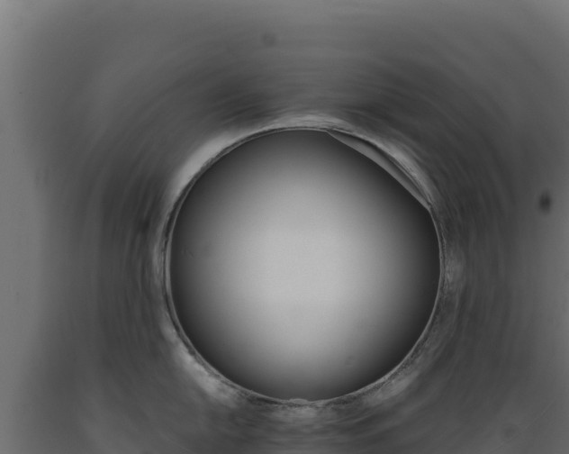 X0000089941054200707061056