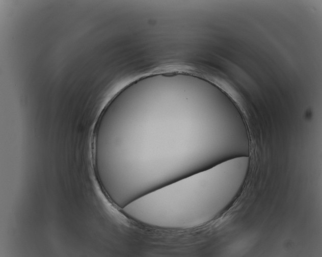 X0000089941055200707061056