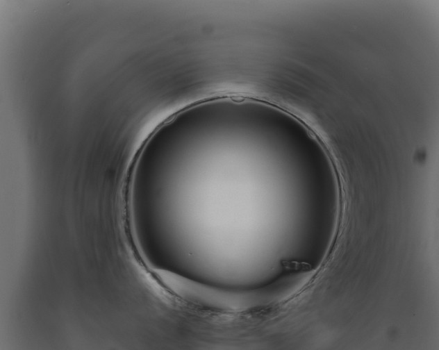 X0000089941056200707061056