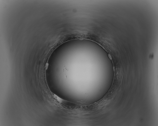 X0000089941057200707061056