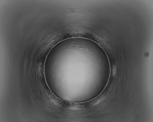 X0000089941059200707061056