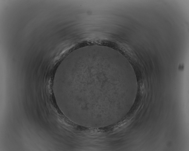 X0000089941060200707061056