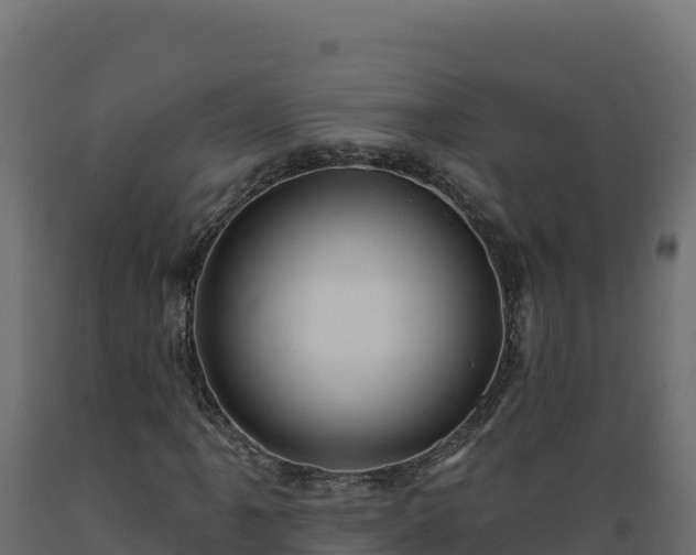 X0000089941061200707061055