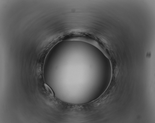 X0000089941062200707061055