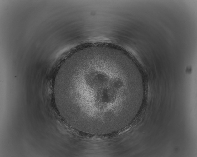 X0000089941063200707061055