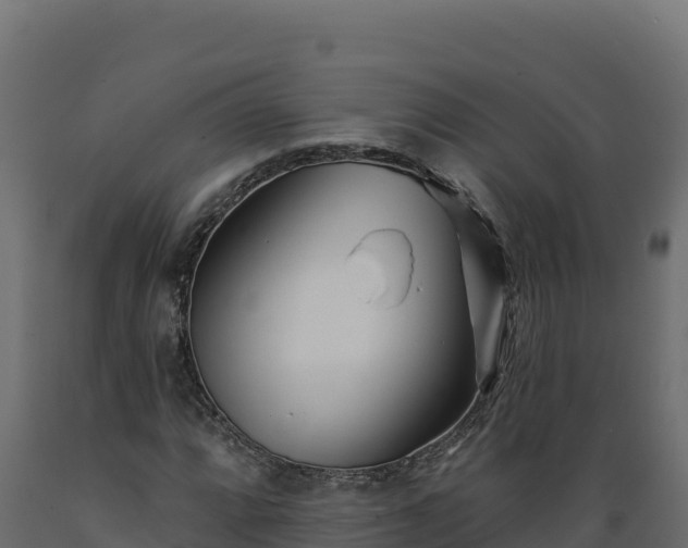 X0000089941064200707061055