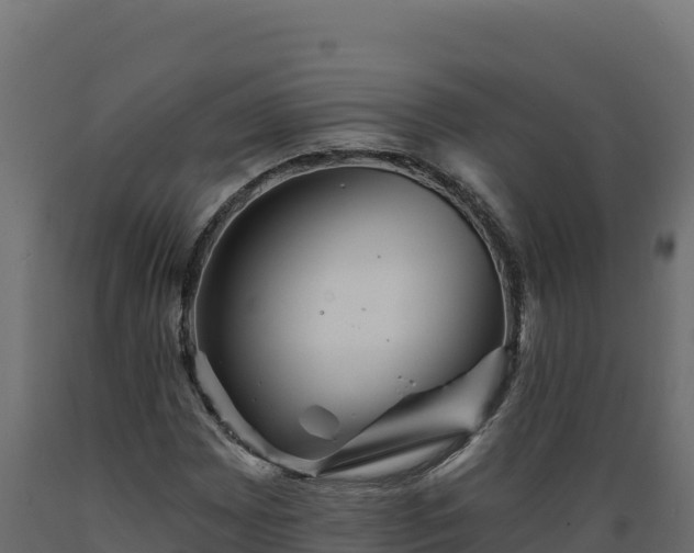 X0000089941065200707061055