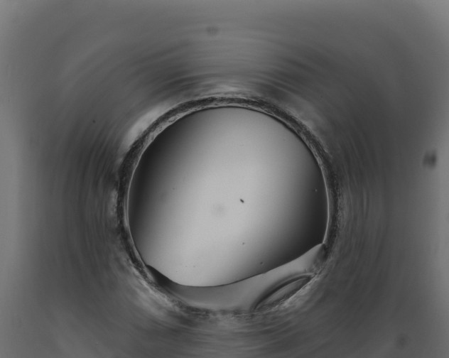 X0000089941066200707061055