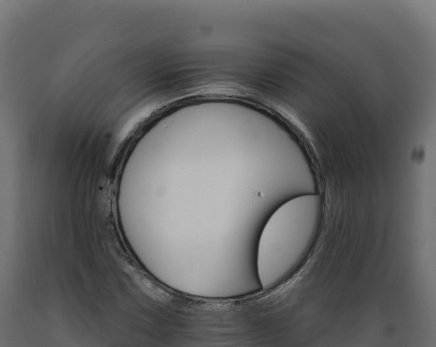 X0000089941067200707061055