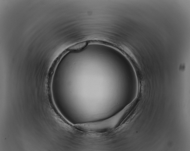 X0000089941068200707061055