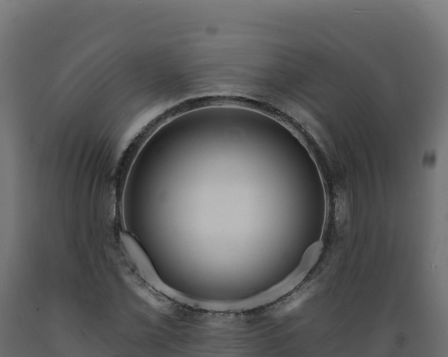 X0000089941069200707061055