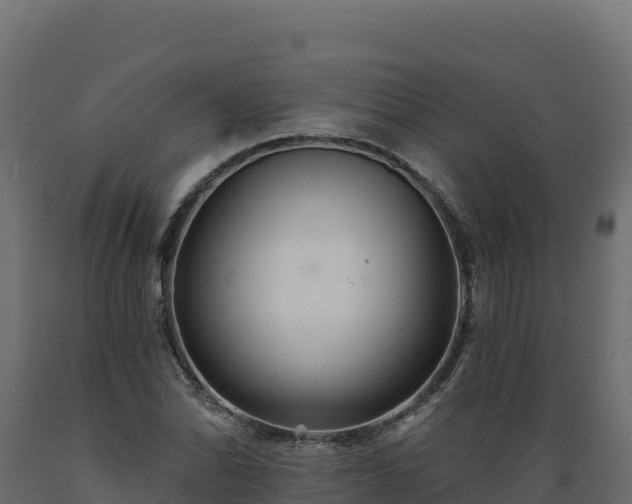 X0000089941070200707061055