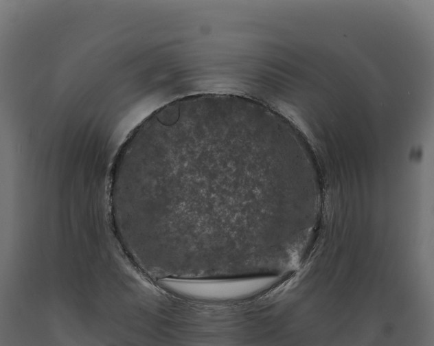 X0000089941071200707061055