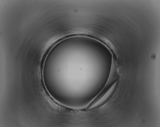 X0000089941072200707061055