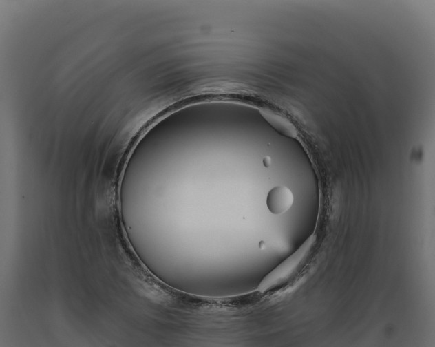 X0000089941073200707061055