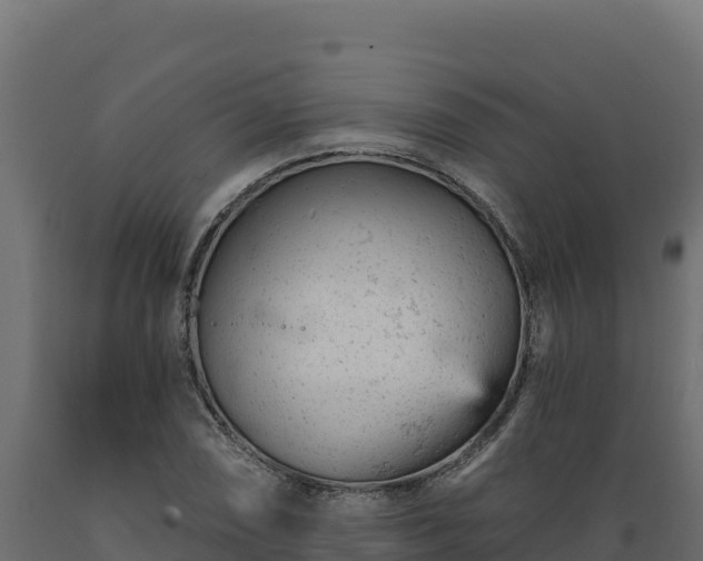 X0000089941074200707061055