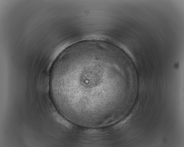 X0000089941075200707061055