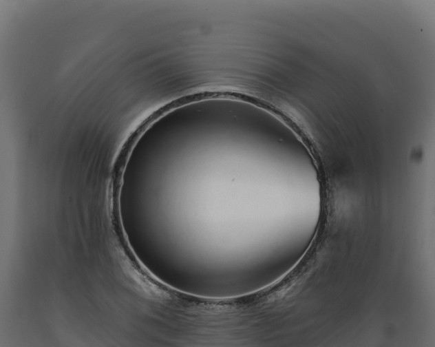 X0000089941076200707061055