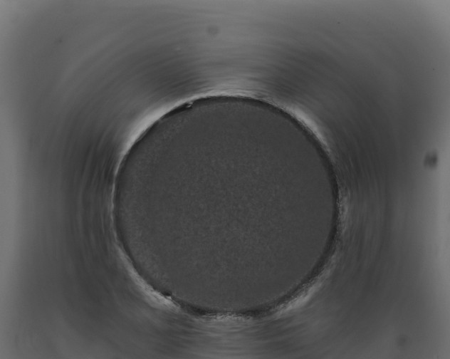 X0000089941077200707061055