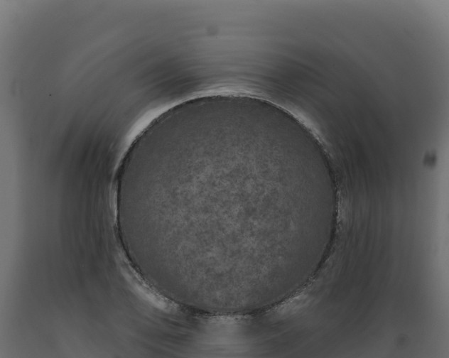 X0000089941078200707061055