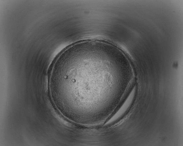 X0000089941079200707061055