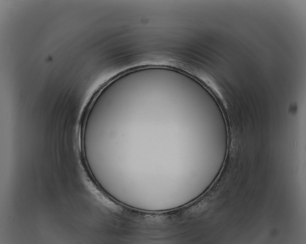 X0000089941080200707061055