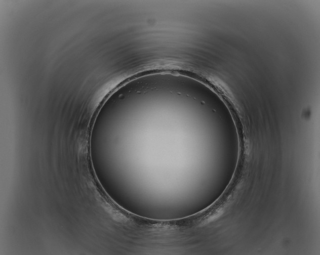 X0000089941081200707061055