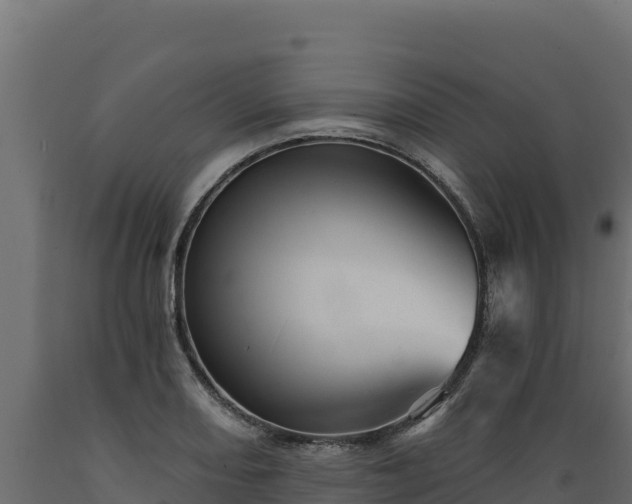 X0000089941082200707061055