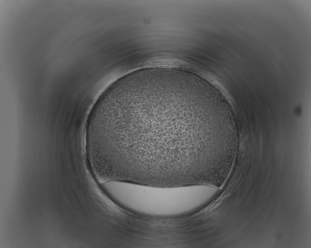 X0000089941083200707061055