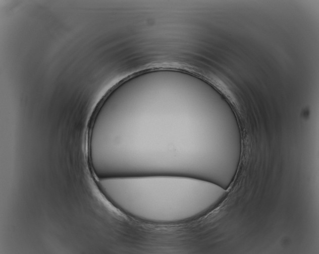 X0000089941084200707061055