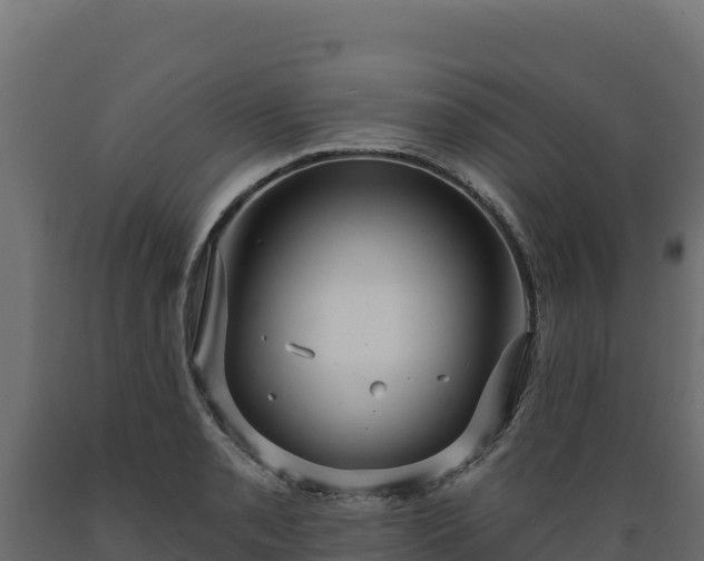 X0000089941085200707061055