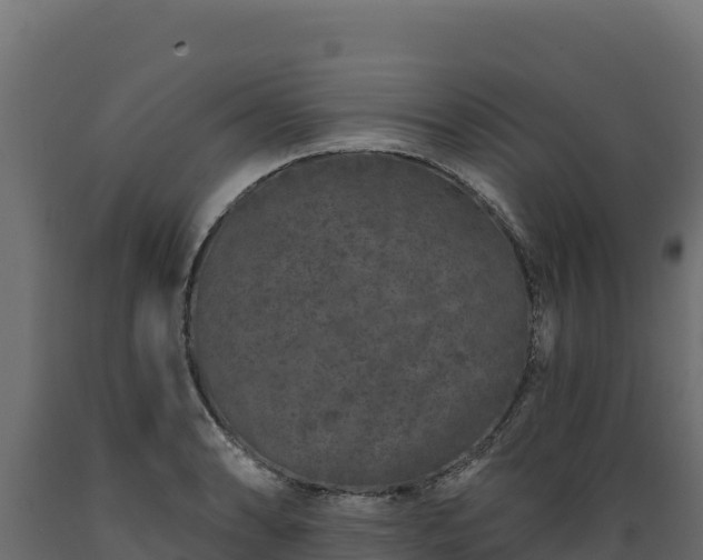 X0000089941086200707061055